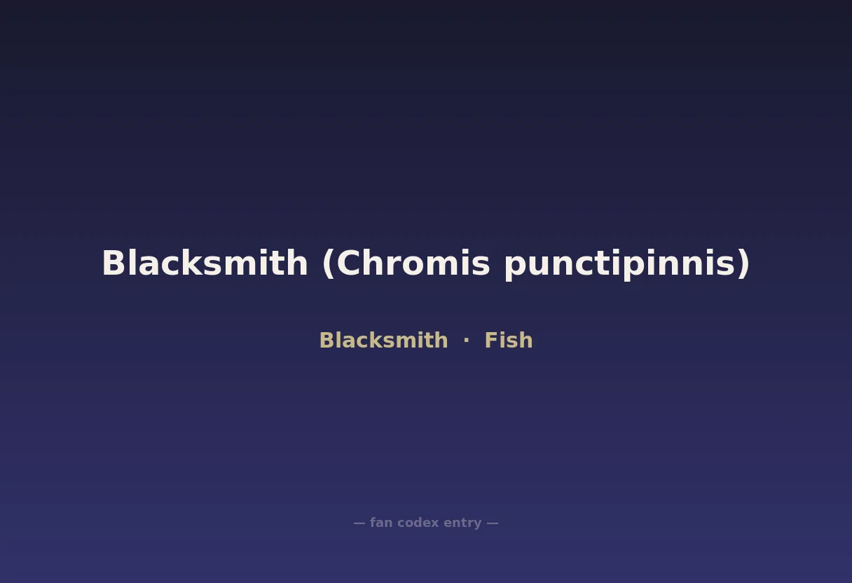 Blacksmith (Chromis punctipinnis)