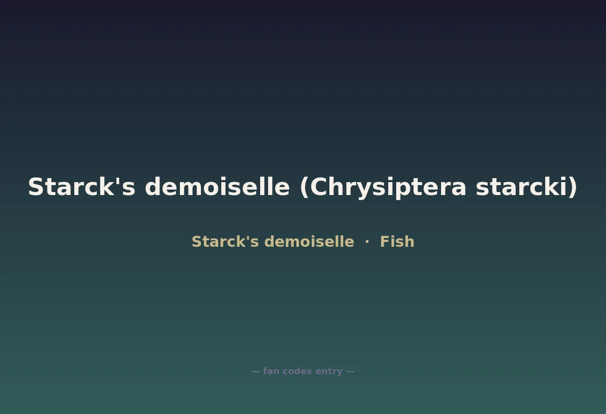 Starck's demoiselle (Chrysiptera starcki)