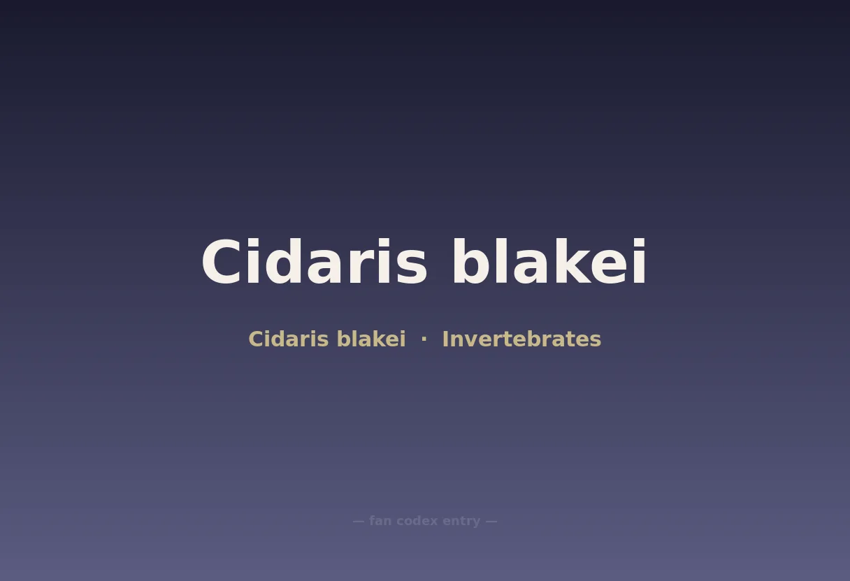 Cidaris blakei