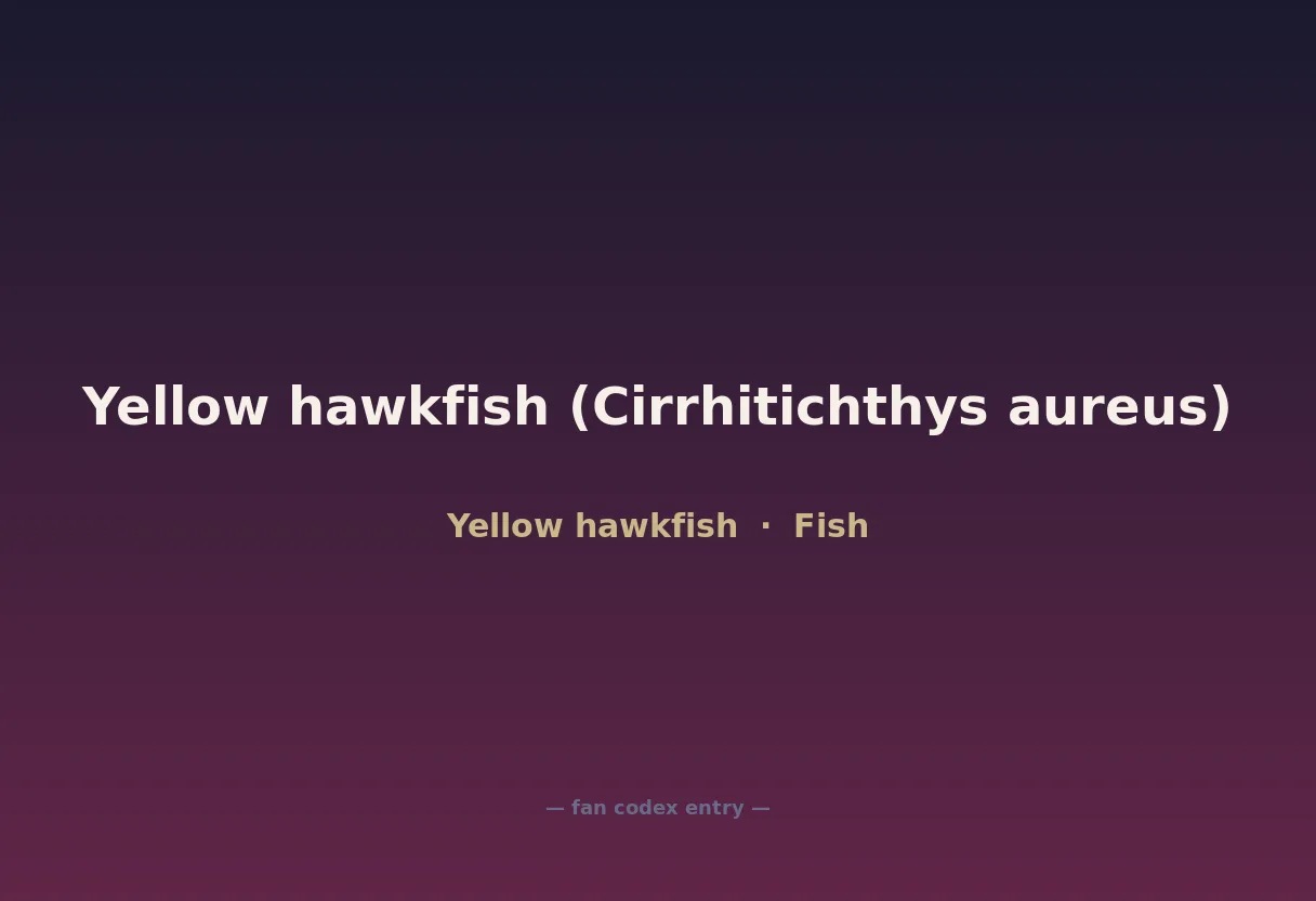 Yellow hawkfish (Cirrhitichthys aureus)