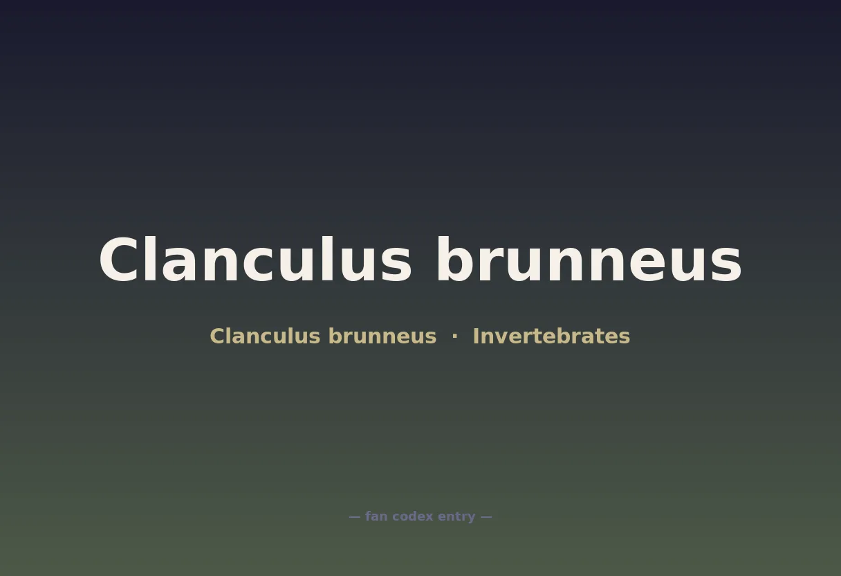 Clanculus brunneus