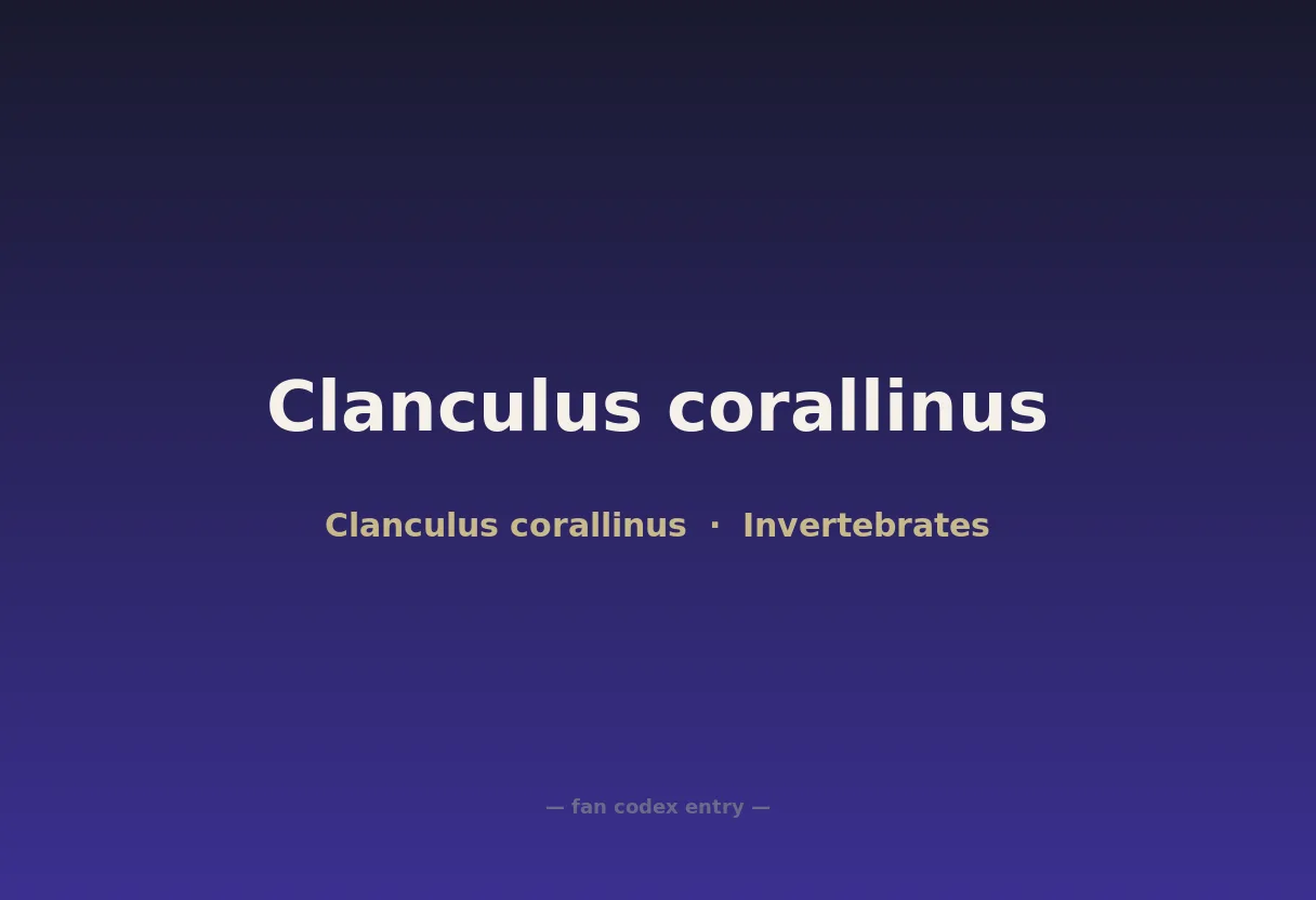 Clanculus corallinus