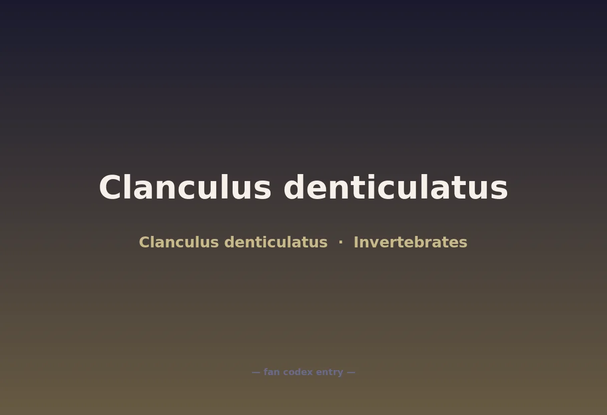 Clanculus denticulatus