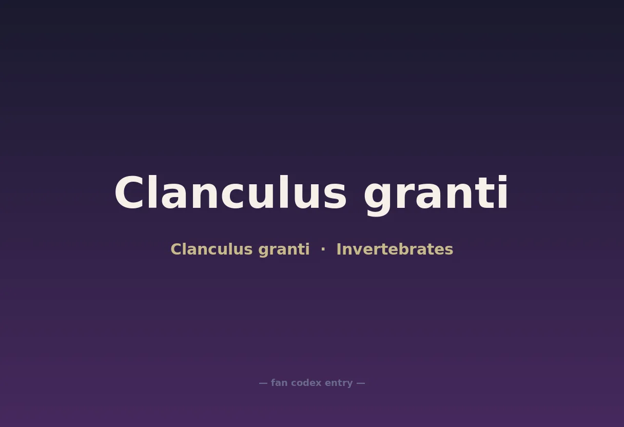 Clanculus granti