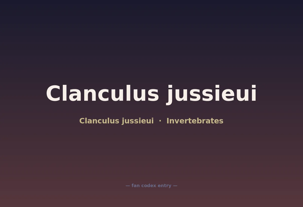 Clanculus jussieui