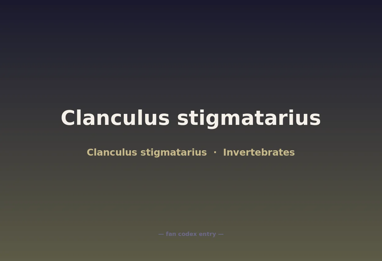 Clanculus stigmatarius