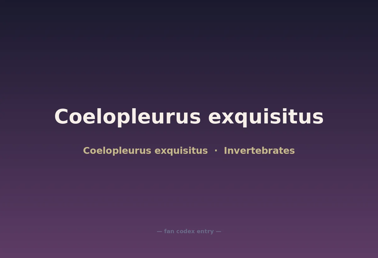 Coelopleurus exquisitus