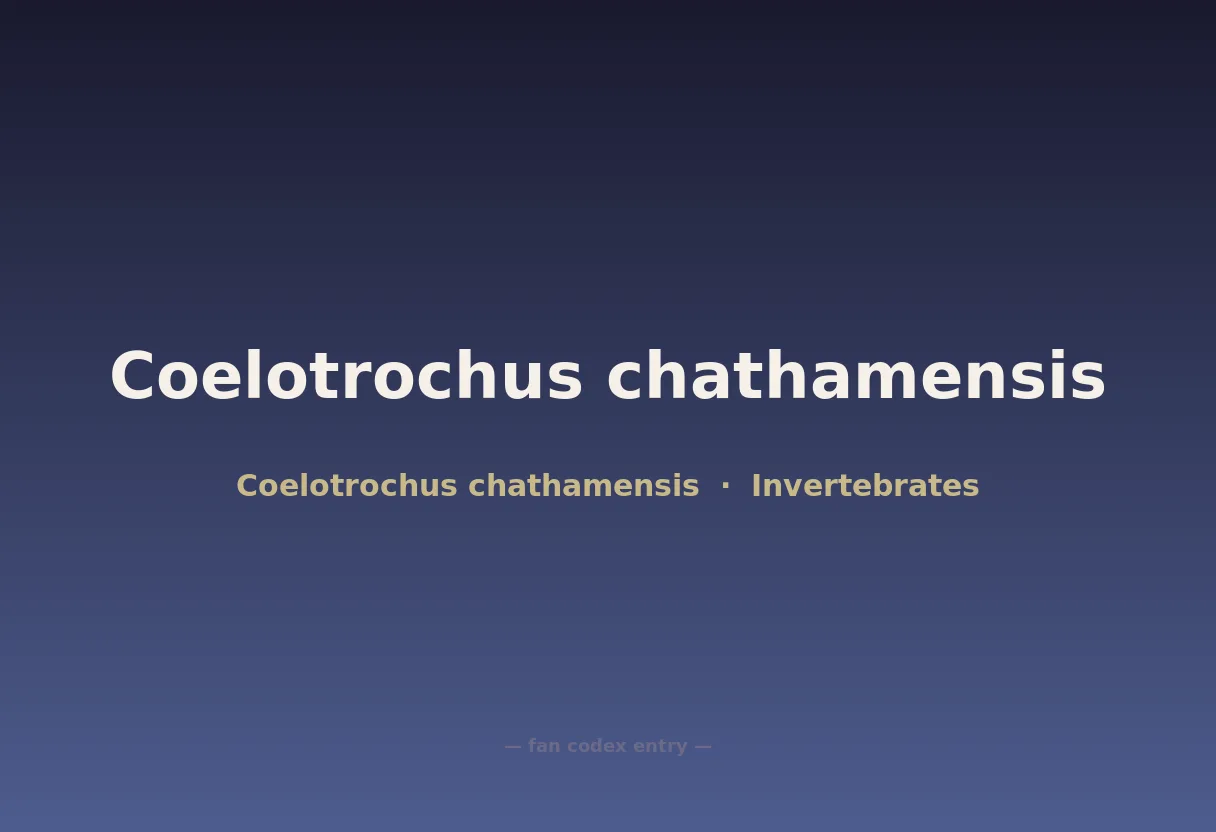 Coelotrochus chathamensis