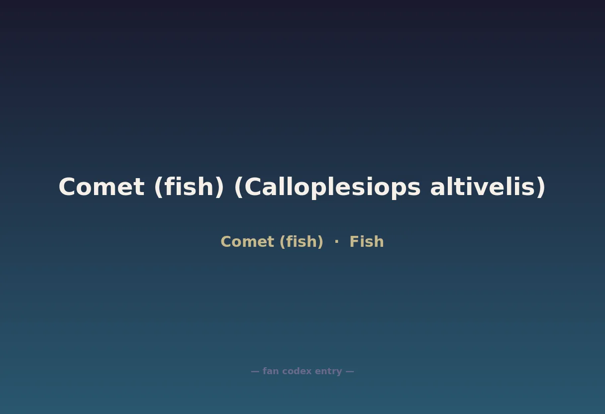 Comet (fish) (Calloplesiops altivelis)