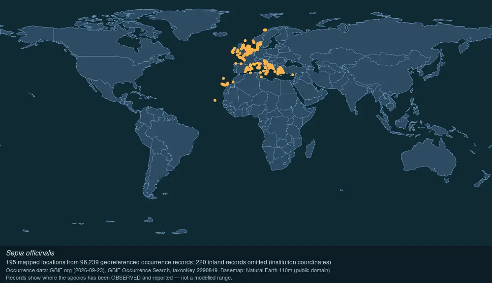 Where Common cuttlefish has been recorded