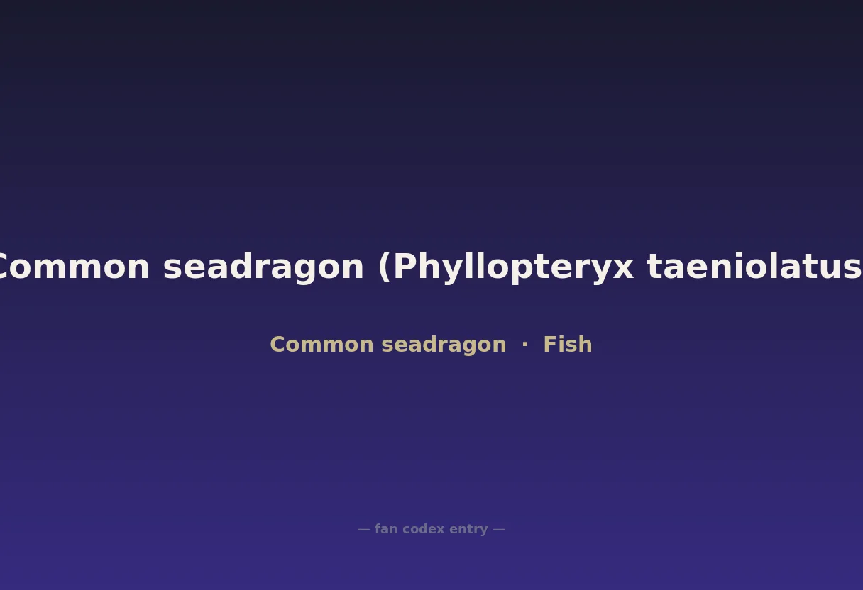 Common seadragon (Phyllopteryx taeniolatus)