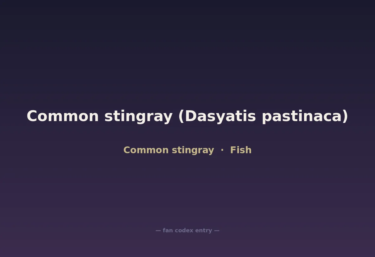 Common stingray (Dasyatis pastinaca)