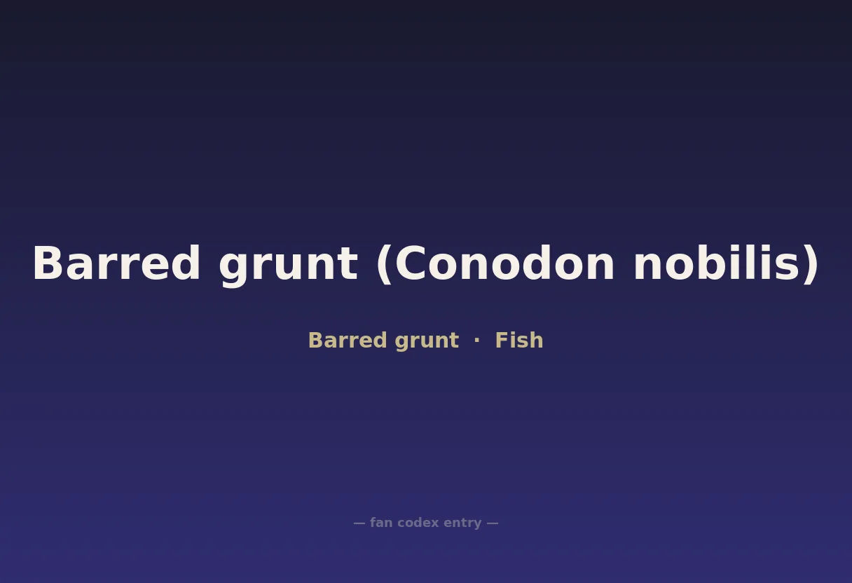 Barred grunt (Conodon nobilis)