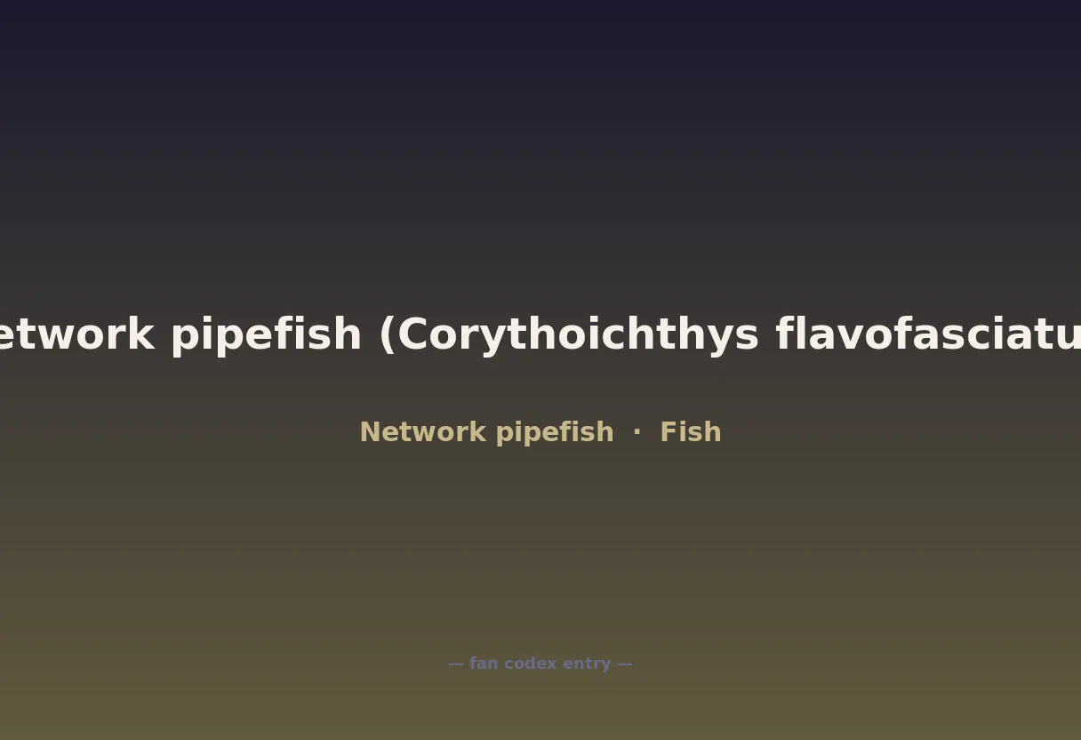 Network pipefish (Corythoichthys flavofasciatus)