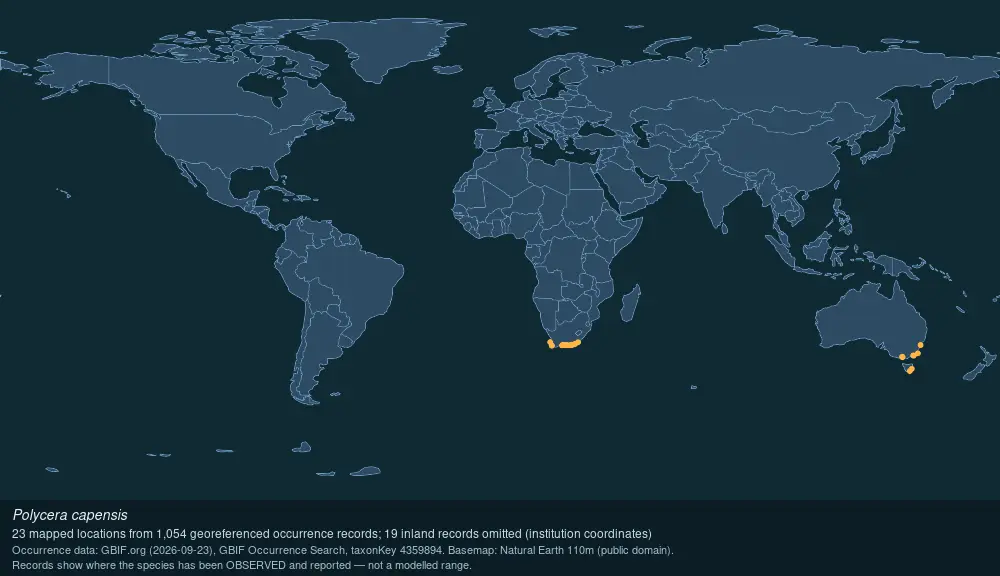 Where Crowned nudibranch has been recorded