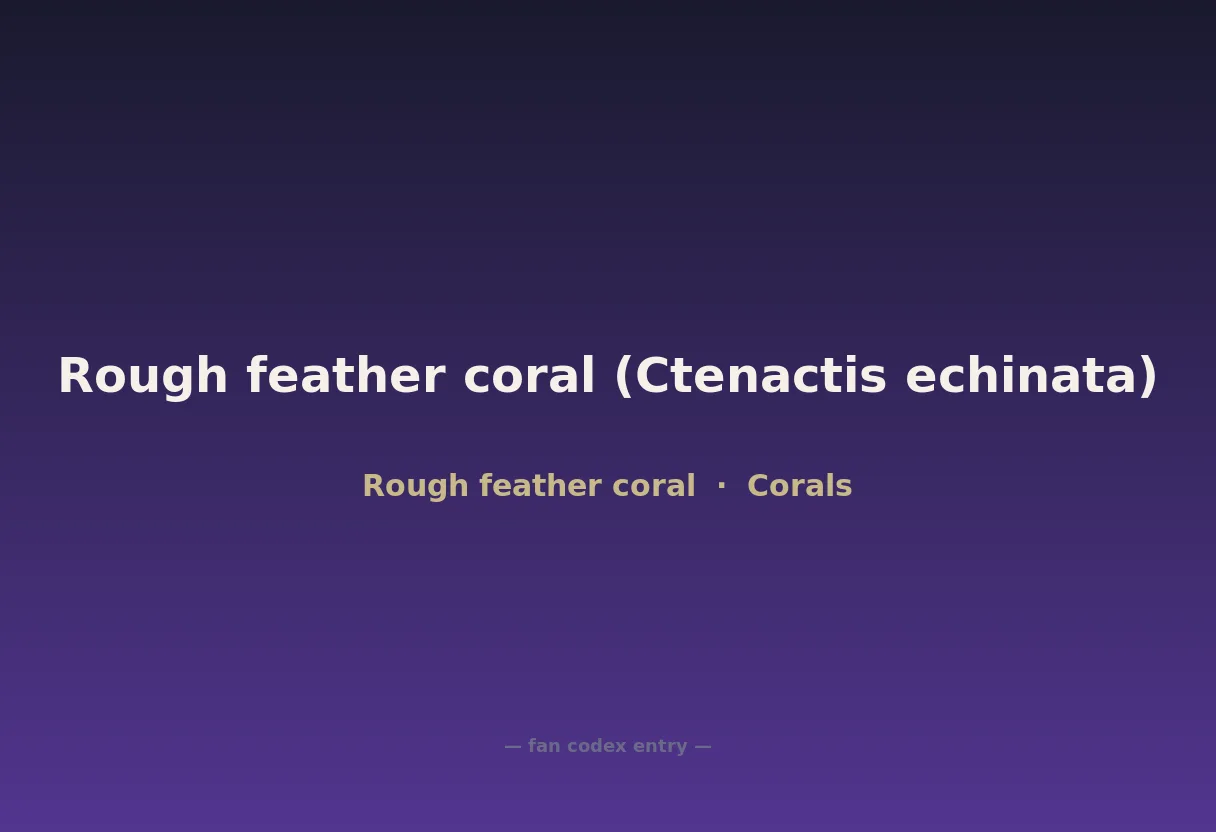 Rough feather coral (Ctenactis echinata)