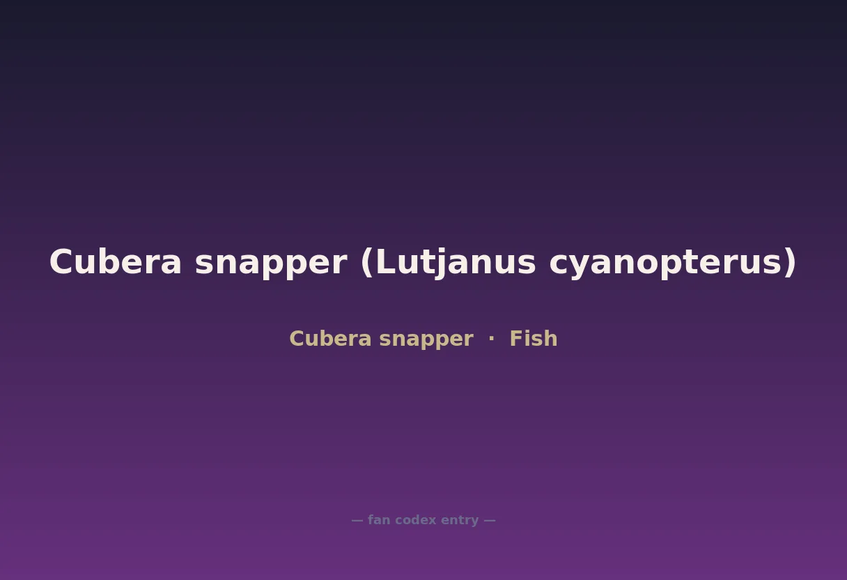 Cubera snapper (Lutjanus cyanopterus)