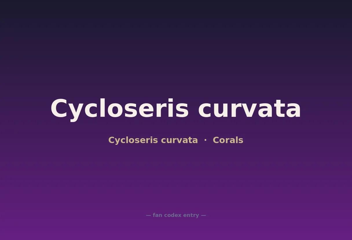 Cycloseris curvata