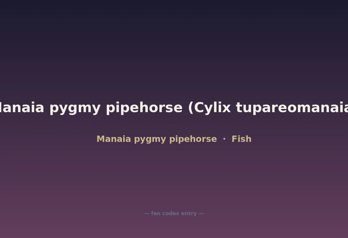 Manaia pygmy pipehorse (Cylix tupareomanaia)