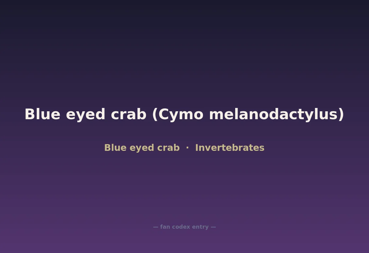 Blue eyed crab (Cymo melanodactylus)