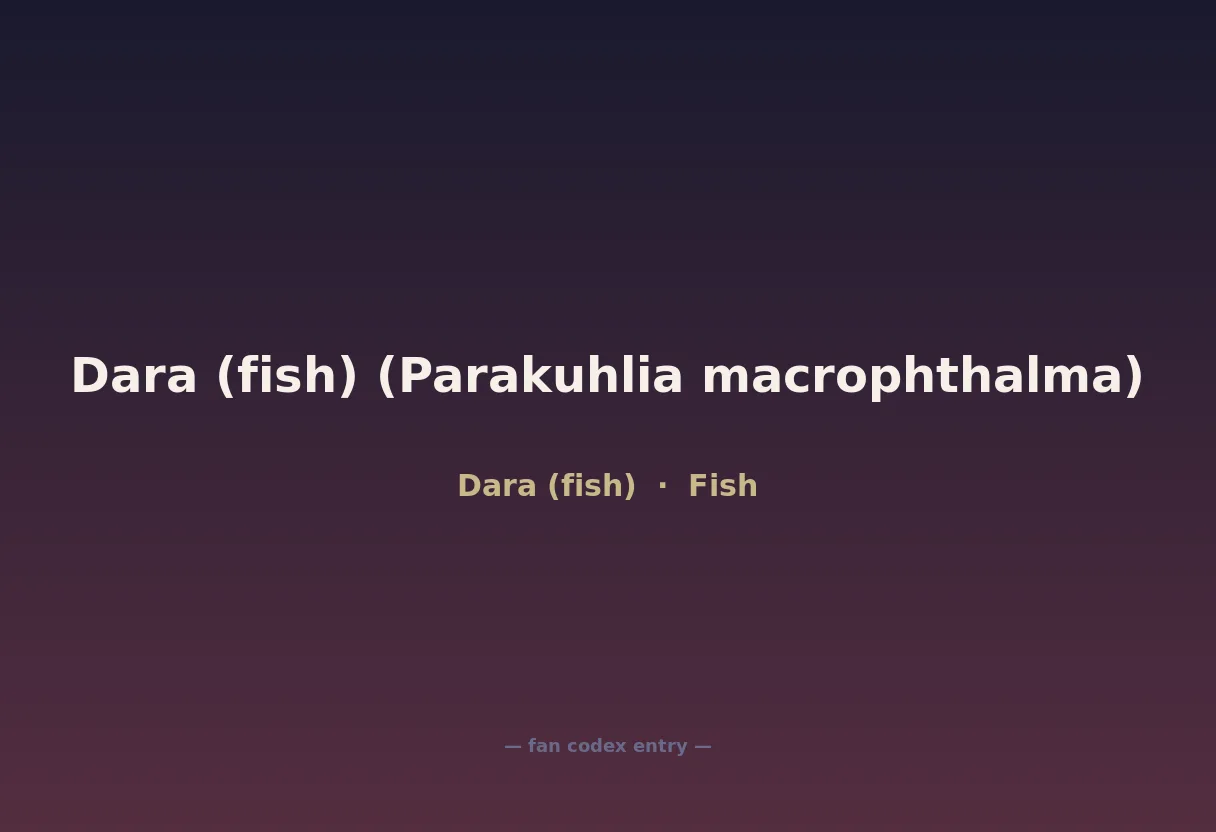 Dara (fish) (Parakuhlia macrophthalma)