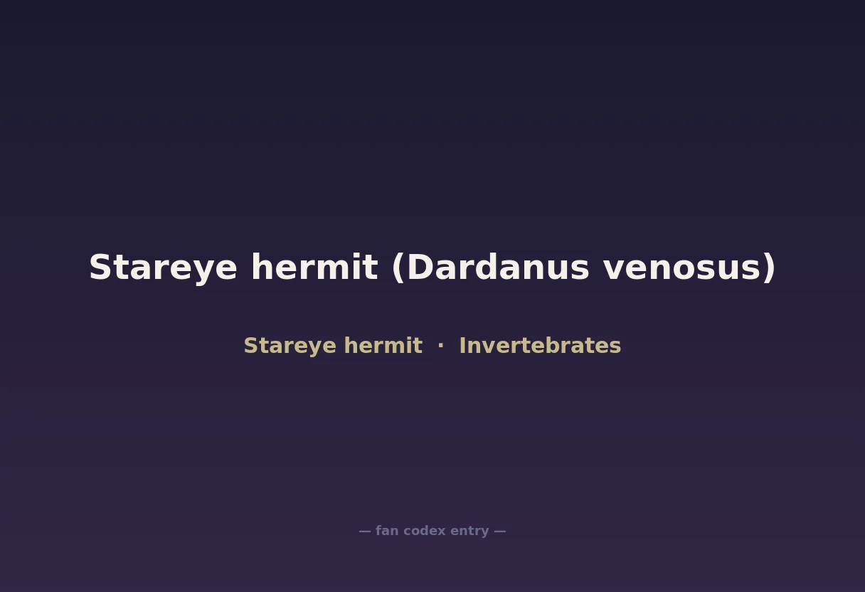 Stareye hermit (Dardanus venosus)