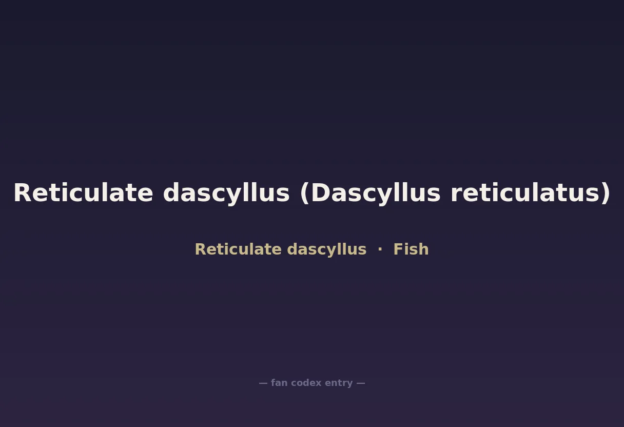 Reticulate dascyllus (Dascyllus reticulatus)