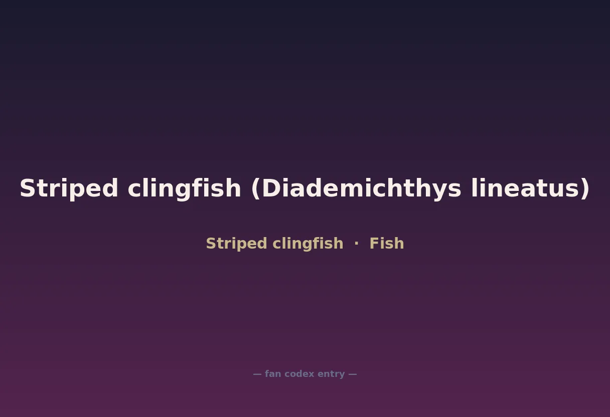 Striped clingfish (Diademichthys lineatus)