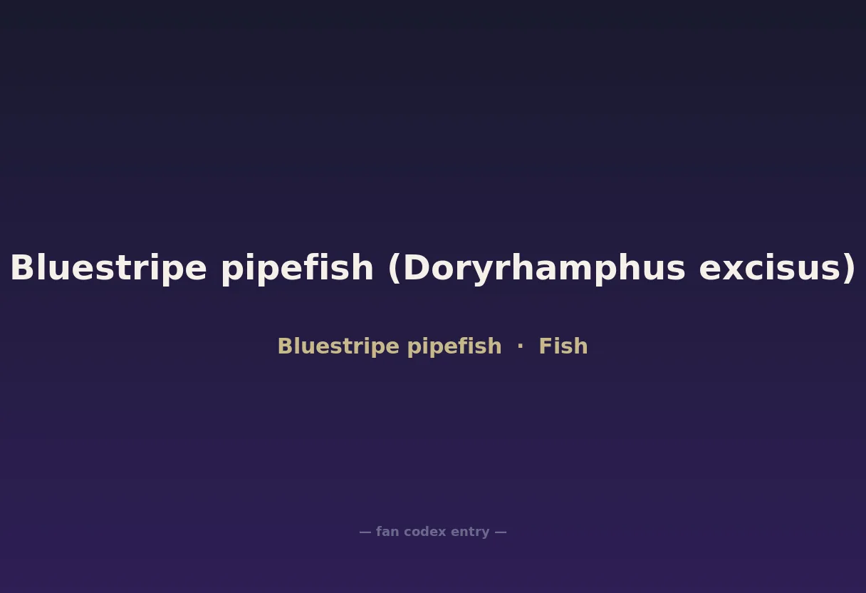Bluestripe pipefish (Doryrhamphus excisus)