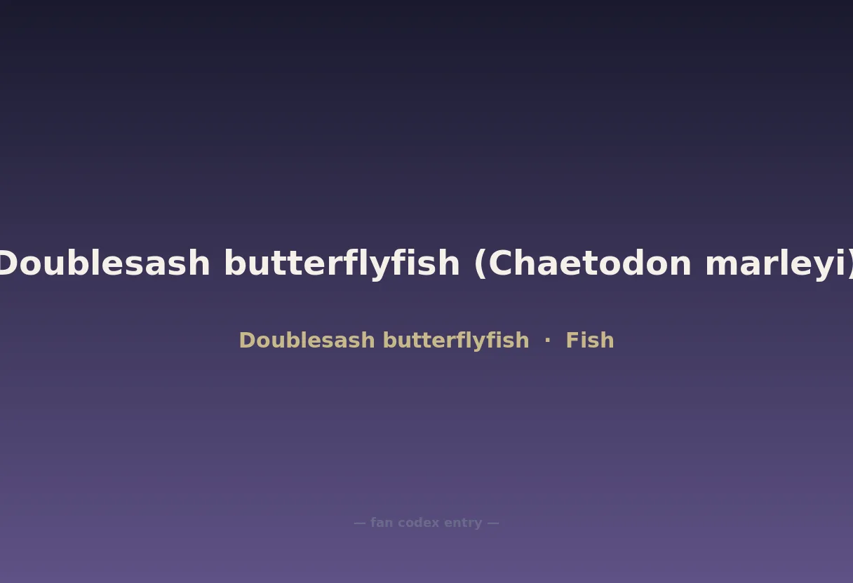 Doublesash butterflyfish (Chaetodon marleyi)