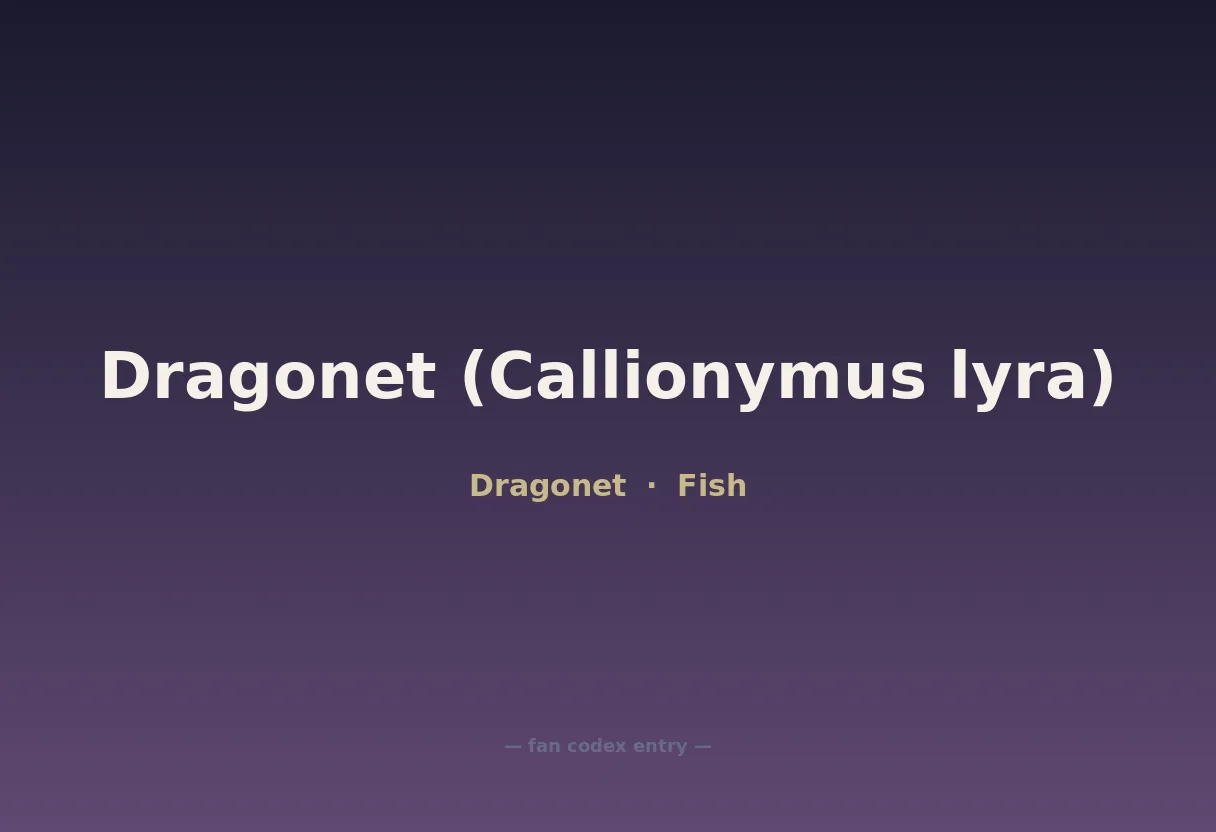 Dragonet (Callionymus lyra)