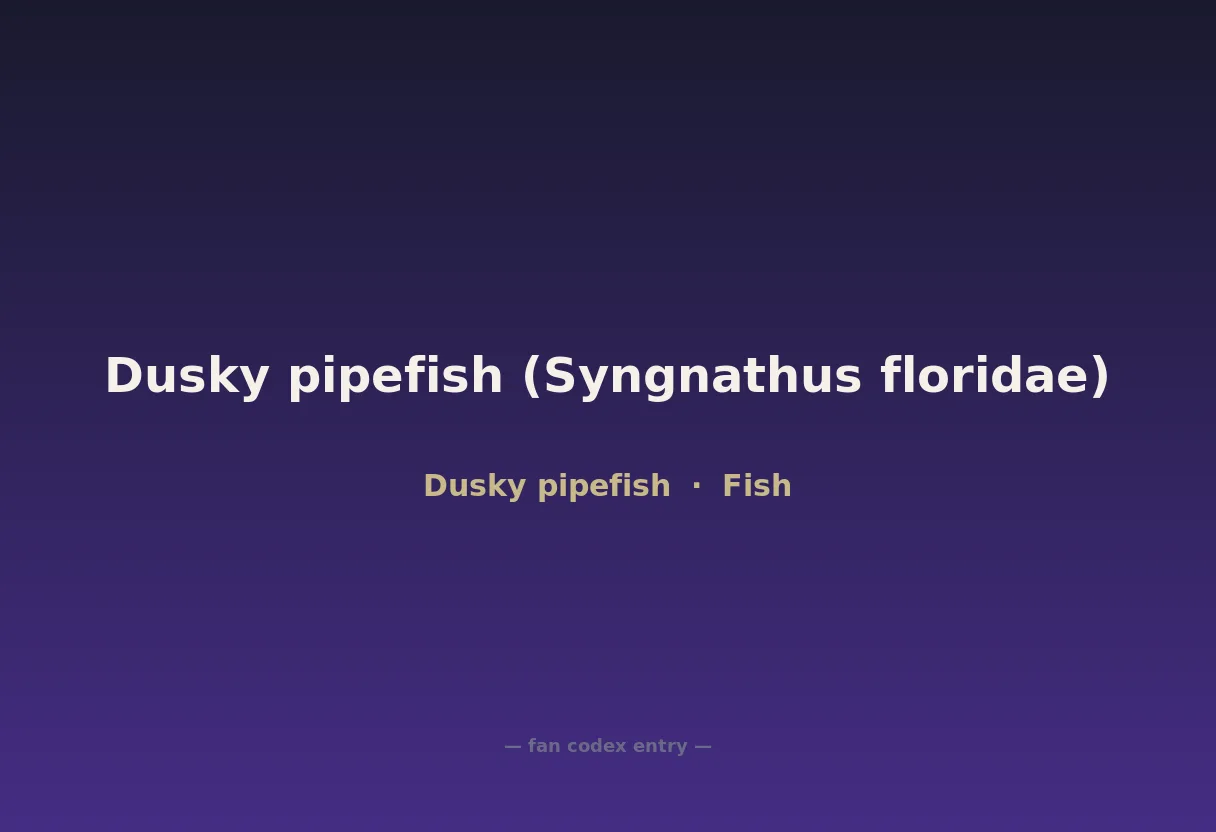 Dusky pipefish (Syngnathus floridae)