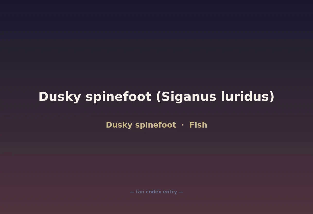Dusky spinefoot (Siganus luridus)