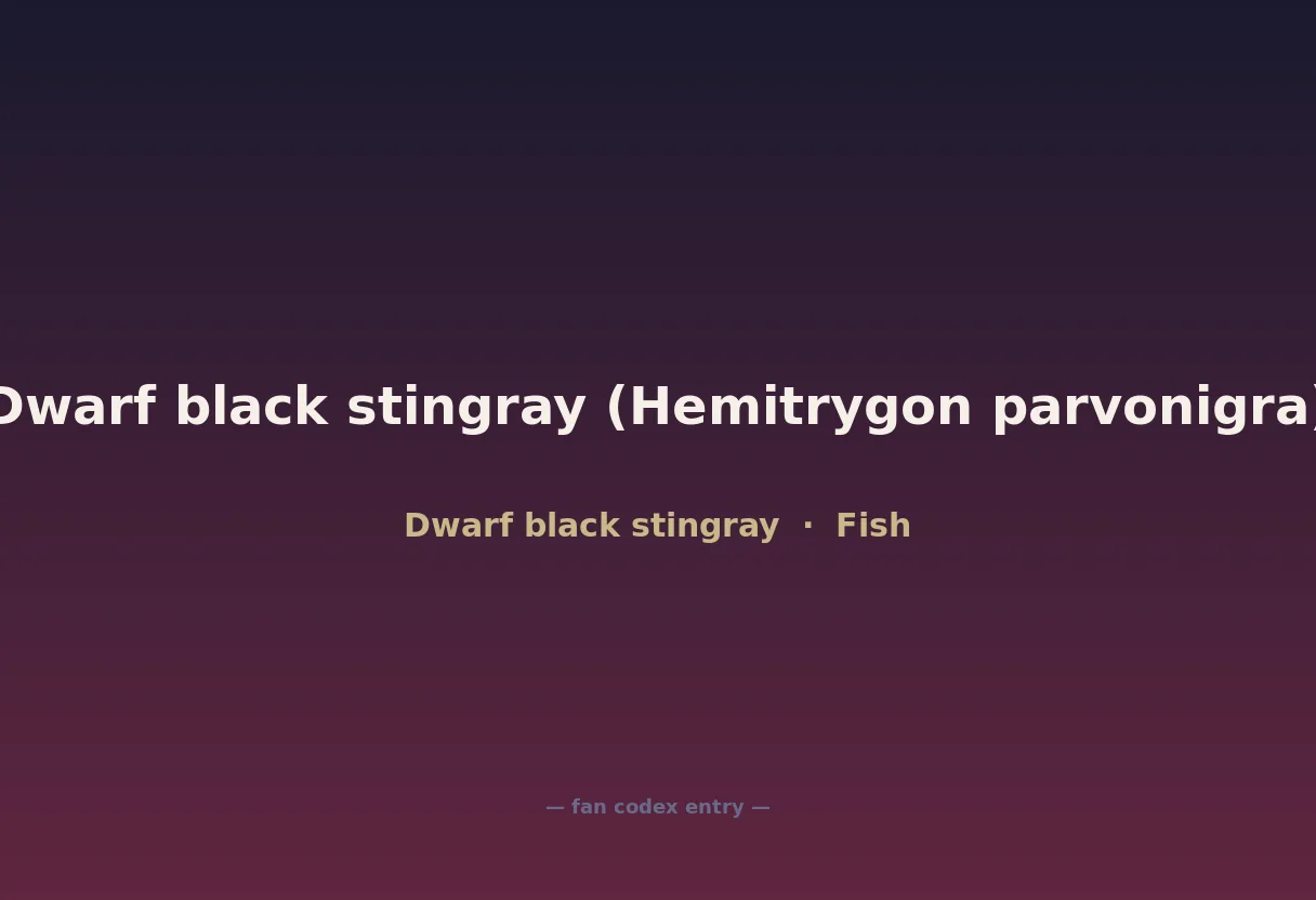 Dwarf black stingray (Hemitrygon parvonigra)