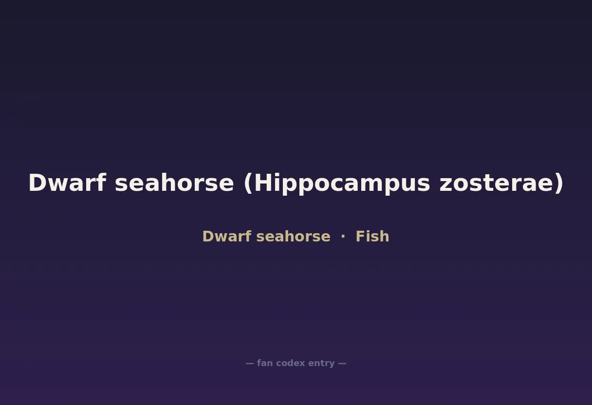 Dwarf seahorse (Hippocampus zosterae)