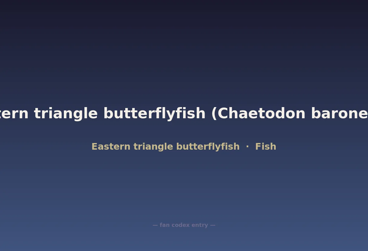 Eastern triangle butterflyfish (Chaetodon baronessa)