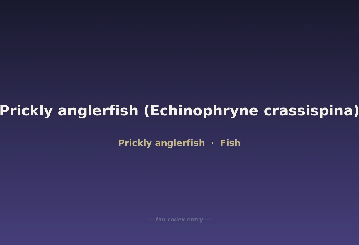 Prickly anglerfish (Echinophryne crassispina)