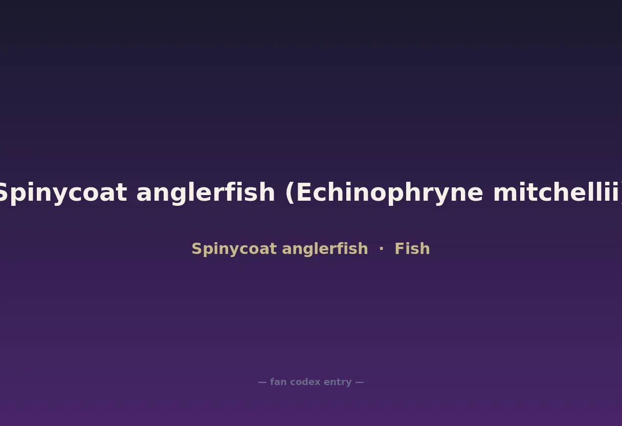 Spinycoat anglerfish (Echinophryne mitchellii)