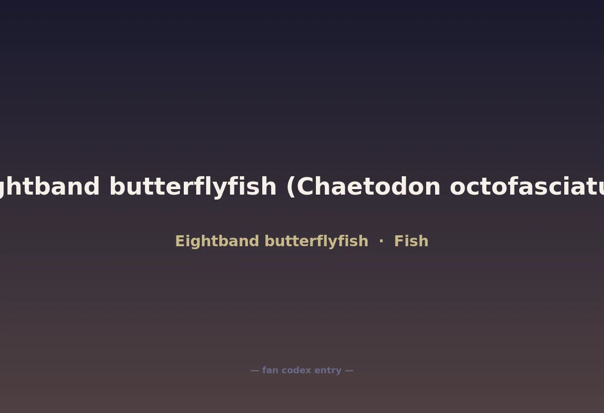 Eightband butterflyfish (Chaetodon octofasciatus)