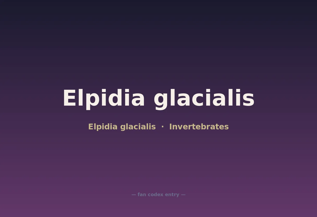 Elpidia glacialis