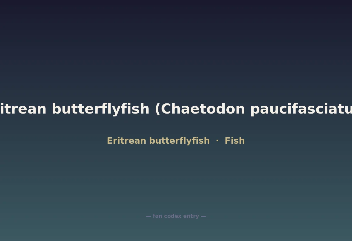 Eritrean butterflyfish (Chaetodon paucifasciatus)