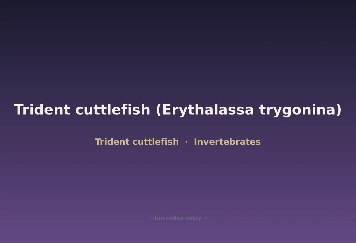 Trident cuttlefish (Erythalassa trygonina)