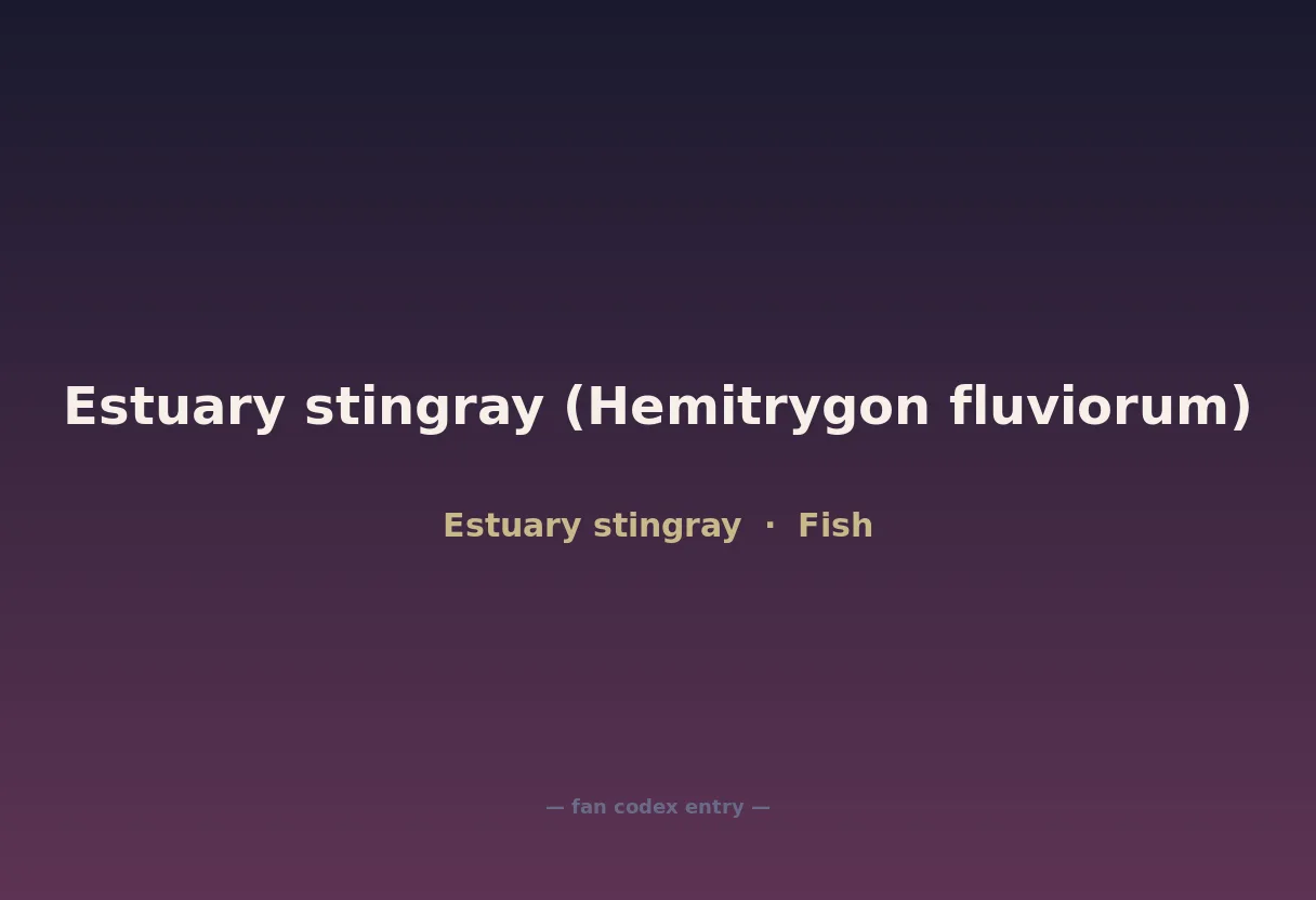 Estuary stingray (Hemitrygon fluviorum)