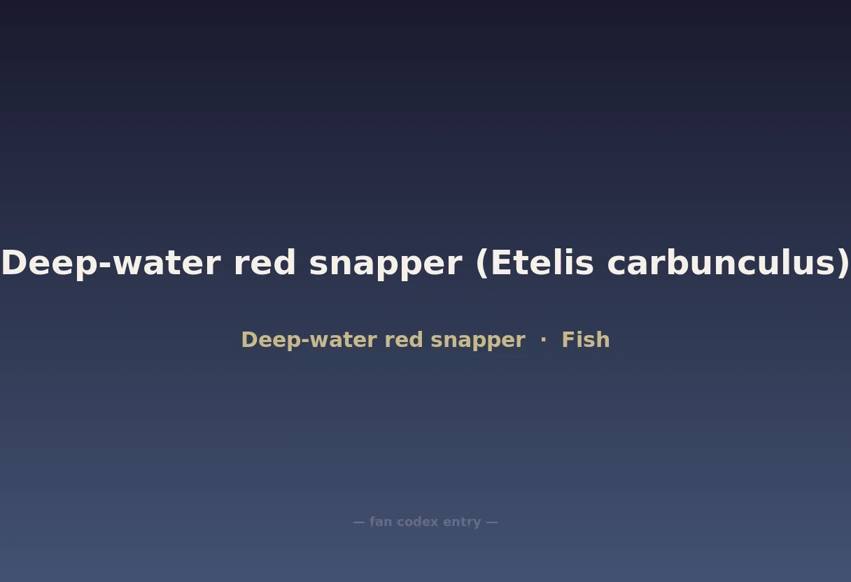 Deep-water red snapper (Etelis carbunculus)
