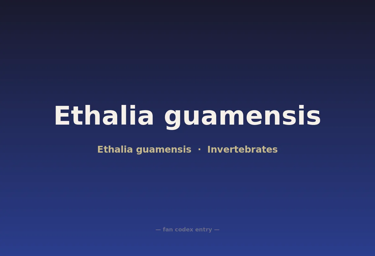 Ethalia guamensis