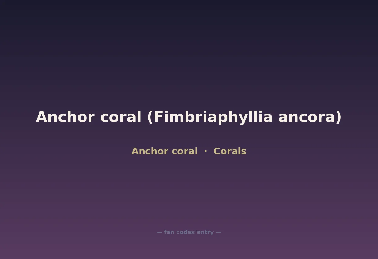 Anchor coral (Fimbriaphyllia ancora)