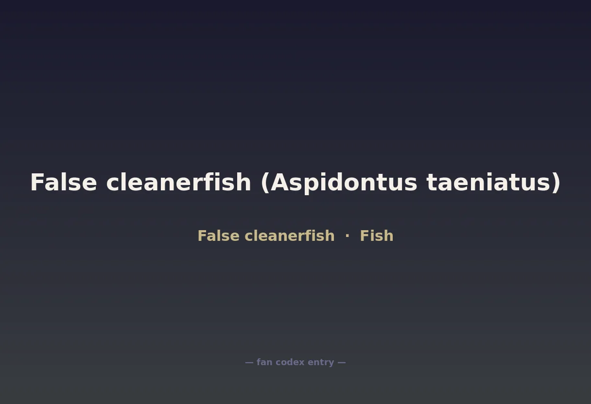 False cleanerfish (Aspidontus taeniatus)