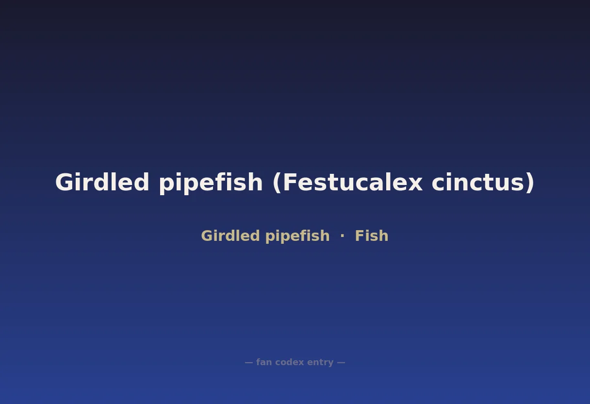 Girdled pipefish (Festucalex cinctus)