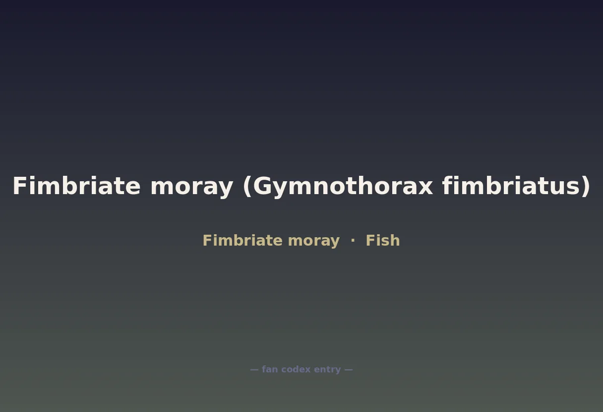Fimbriate moray (Gymnothorax fimbriatus)