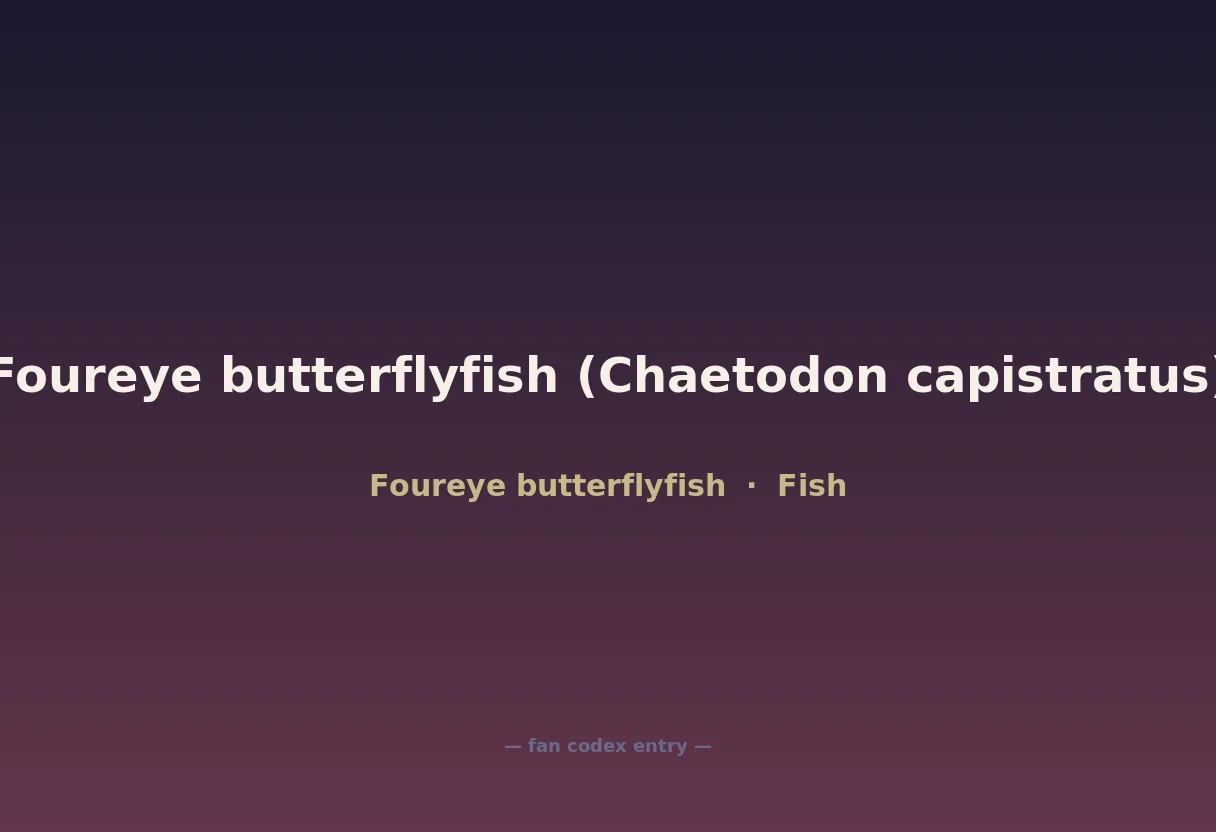 Foureye butterflyfish (Chaetodon capistratus)